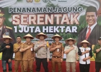 Penanaman Jagung Serentak 1 Juta Hektar Desa Sarigadung