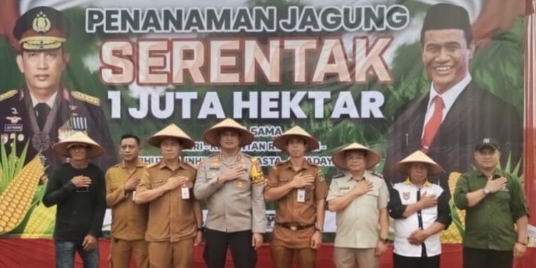 Penanaman Jagung Serentak 1 Juta Hektar Desa Sarigadung