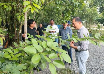 Arboretum Ayu Tirta Siapkan Lahan Penanaman untuk Peserta HPN 2025