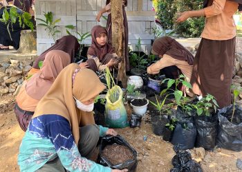 SDN Saring Sungai Bubu Berupaya Meraih Predikat Sekolah Adiwiyata Kabupaten