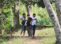 Pulau Sawangi, Wisata Hutan Mangrove di Tanah Bumbu, Wajib Dikunjungi Wisatawan