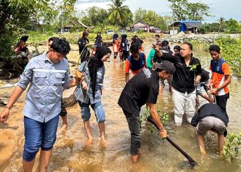 SMAN 1 Kusan Hilir dan Politeknik Batulicin Tanam Pohon Bakau untuk Pelestarian Lingkungan