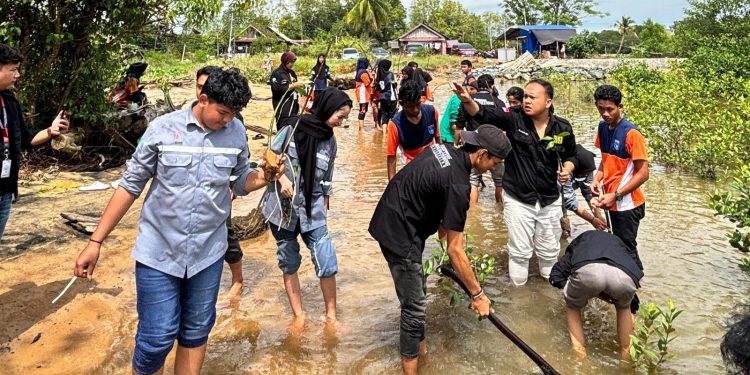 SMAN 1 Kusan Hilir dan Politeknik Batulicin Tanam Pohon Bakau untuk Pelestarian Lingkungan