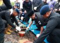 Bupati Zairullah Letakan Batu Pertama Pembangunan Mako Brimob Polda Kalsel