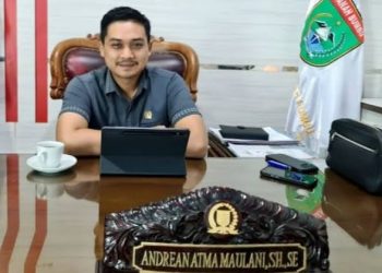 Ketua DPRD Tanah Bumbu Apresiasi Kinerja Satpol PP dan Damkar