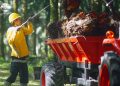 Astra Agro Lestari Tebar Dividen dan Fokus Keberlanjutan, Saham Jadi Sorotan
