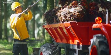 Astra Agro Lestari Tebar Dividen dan Fokus Keberlanjutan, Saham Jadi Sorotan