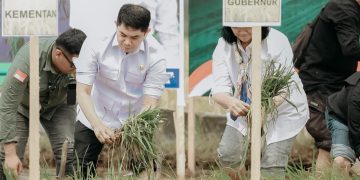 Tanam Padi Serentak Bersama Presiden, Kegiatan di Kalsel Dipusatkan di Tanbu dan Dipimpin Bupati Andi Rudi Latif