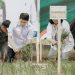 Tanam Padi Serentak Bersama Presiden, Kegiatan di Kalsel Dipusatkan di Tanbu dan Dipimpin Bupati Andi Rudi Latif