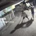 Tenteng Samurai, Aksi Serang Antargenk Malam Hari di Banjarmasin Terekam CCTV, Teriak Bahasa Luar