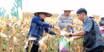 Bupati Andi Rudi Latif Panen Raya Jagung Serentak Nasional: Dukung Swasembada Pangan