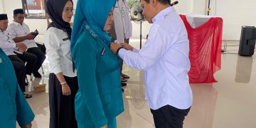 Wakili Bupati Andi Rudi Latif, Camat Kusan Hulu Lantik Tim Pembina dan Ketua Pembina Posyandu Desa