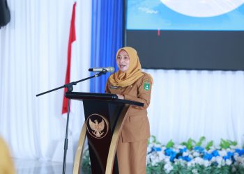 Pemkab Tanbu gelar Pelatihan Penanganan Kekerasan terhadap Perempuan dan Anak