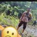 Dinding Latarnya Seram,  Viral VT Tersangka Multilasi  Sang Suami di Kalsel