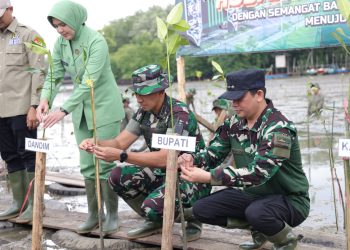 Penanaman Mangrove Peringati HUT Ke-67 Kodam VI/Mulawarman, Bupati Andi Rudi Latif : Upaya Konkret Pelestarian Ekosistem Pesisir