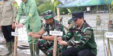 Penanaman Mangrove Peringati HUT Ke-67 Kodam VI/Mulawarman, Bupati Andi Rudi Latif : Upaya Konkret Pelestarian Ekosistem Pesisir