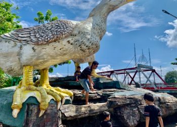 Jari Ceker-nya Sebesar Tubuh Orang Dewasa, Sepasang Bebek Jadi Ikon Kota di Utara Kalsel