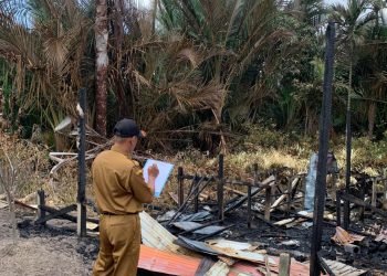 Pemkab Tanah Bumbu Salurkan Bantuan Logistik untuk Korban Terdampak Kebakaran di Desa Pulau Tanjung