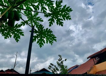 Warga Kepo Gerhana Matahari Total, Ternyata Cuaca  Banjarmasin Biasa Saja pada 2 Agustus 202