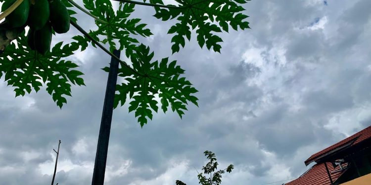 Warga Kepo Gerhana Matahari Total, Ternyata Cuaca  Banjarmasin Biasa Saja pada 2 Agustus 202