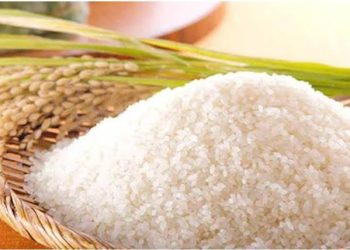 Pembeli Mengira Salah Dengar, Harga Beras Lokal di Banjarmasin Melonjak