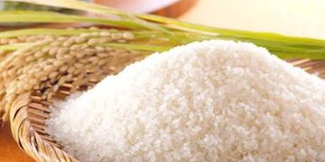 Pembeli Mengira Salah Dengar, Harga Beras Lokal di Banjarmasin Melonjak