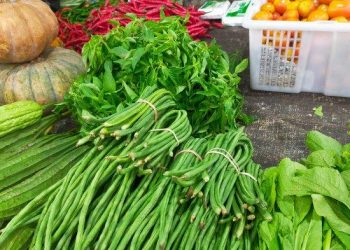 Ini Sayur yang Harganya Melambung Tinggi di Banjarmasin, Ada Pedagang Takut Jual