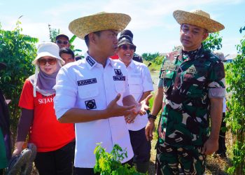 Wali Kota Banjarmasin Lakukan Penanaman Perdana Padi di Sungai Andai