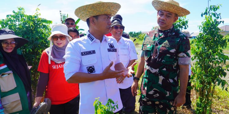 Wali Kota Banjarmasin Lakukan Penanaman Perdana Padi di Sungai Andai