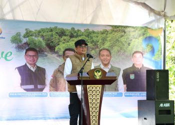 Cegah Abrasi dan Tingkatkan Kesejahteraan Masyarakat Pesisir, Bupati Andi Rudi Larif dan Kaka Slank Tanam Magrove di Pesisir Tanah Bumbu