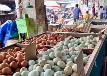 Bikin Pening, Harga2 Kebutuhan Dapur Bergolak Naik di Pasar Banjarmasin