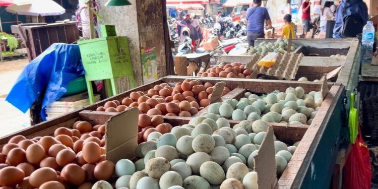 Bikin Pening, Harga2 Kebutuhan Dapur Bergolak Naik di Pasar Banjarmasin