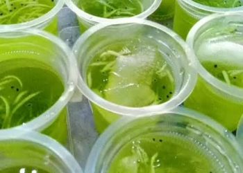 Harga Es Batu pun Gercep Meroket