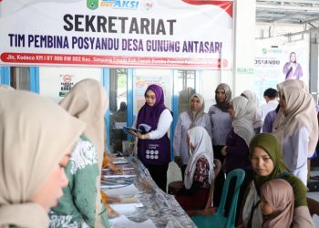 Posyandu Tanah Bumbu Bertransformasi Jadi Pusat Layanan Dasar Terpadu