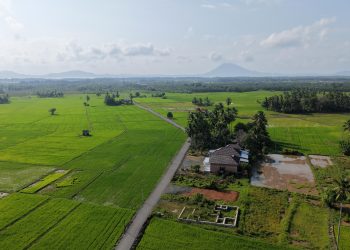 Pemkab Tanah Bumbu Tinggikan Tanggul, Petambak Kepiting Muara Pagatan Tak Lagi Cemas Air Pasang