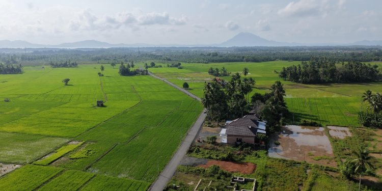 Pemkab Tanah Bumbu Tinggikan Tanggul, Petambak Kepiting Muara Pagatan Tak Lagi Cemas Air Pasang