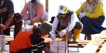 Menjaga Ekosistem: Tanah Bumbu Tanam Mangrove untuk Generasi Mendatang