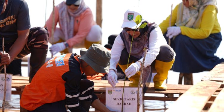 Menjaga Ekosistem: Tanah Bumbu Tanam Mangrove untuk Generasi Mendatang