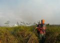 BPBD Tanbu Tangani Kebakaran Lahan 5 Hektare di Desa Satiung, Kusan Tengah