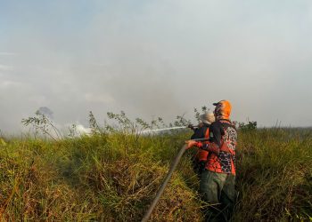 BPBD Tanbu Tangani Kebakaran Lahan 5 Hektare di Desa Satiung, Kusan Tengah