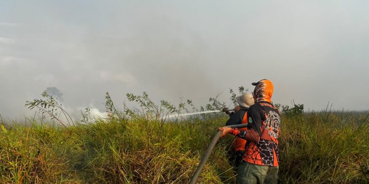 BPBD Tanbu Tangani Kebakaran Lahan 5 Hektare di Desa Satiung, Kusan Tengah