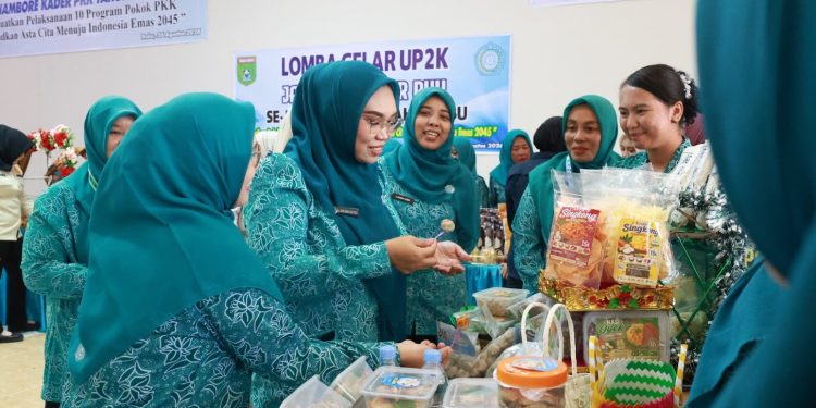 Andi Irmayani Tekankan Peningkatan Kapasitas Kader PKK Tanah Bumbu Lewat Jambore