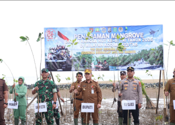 Seribu Mangrove Ditanam di Muara Pagatan, Tanah Bumbu Perkuat Kepedulian Pesisir
