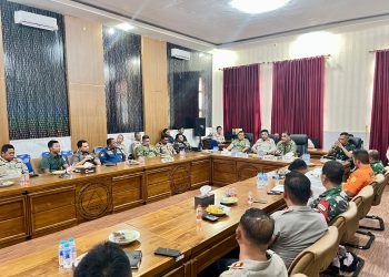 Tim Mabes TNI Apresiasi Aksi Nyata Satgas Karhutla Tanah Bumbu